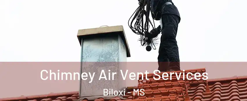  Chimney Air Vent Services Biloxi - MS