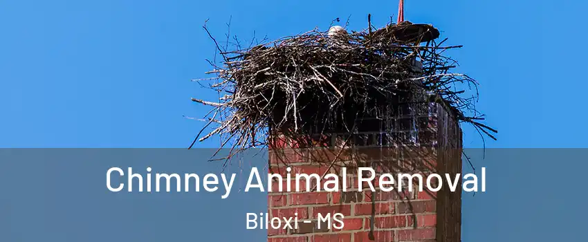Chimney Animal Removal Biloxi - MS