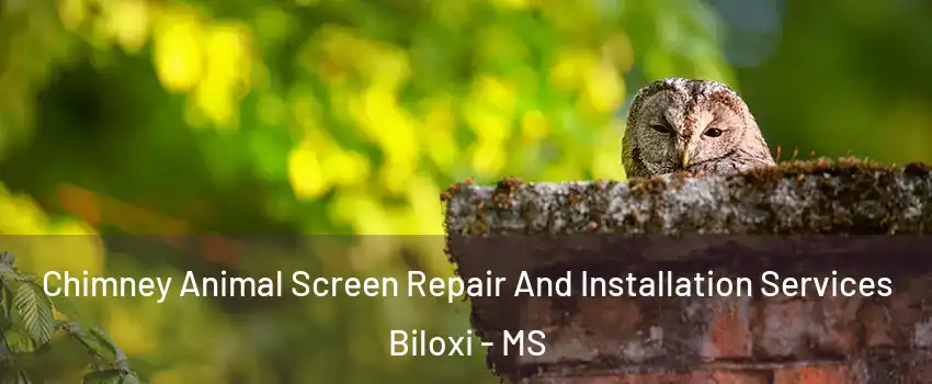  Chimney Animal Screen Repair And Installation Services Biloxi - MS