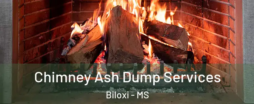  Chimney Ash Dump Services Biloxi - MS