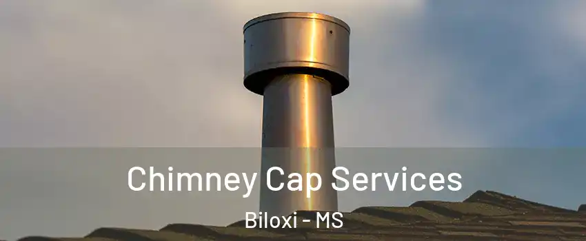  Chimney Cap Services Biloxi - MS