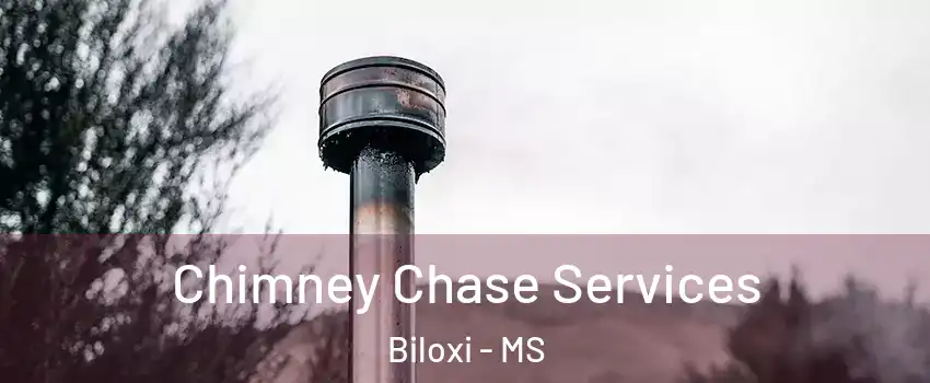  Chimney Chase Services Biloxi - MS