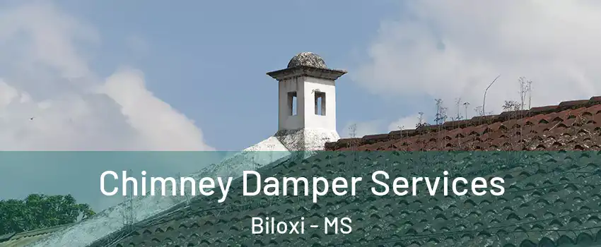  Chimney Damper Services Biloxi - MS