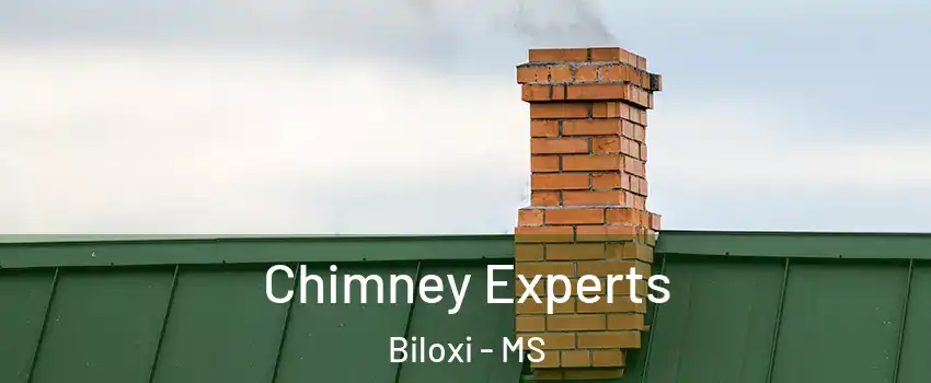 Chimney Experts Biloxi - MS