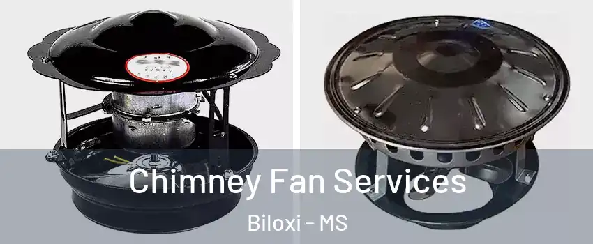  Chimney Fan Services Biloxi - MS