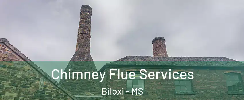  Chimney Flue Services Biloxi - MS