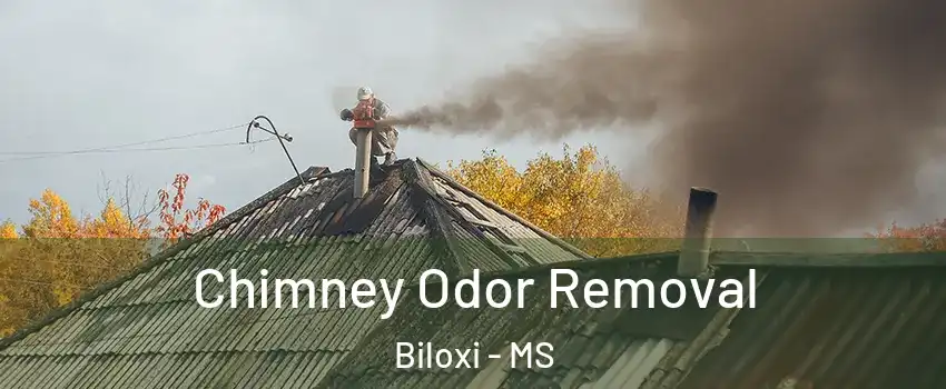  Chimney Odor Removal Biloxi - MS