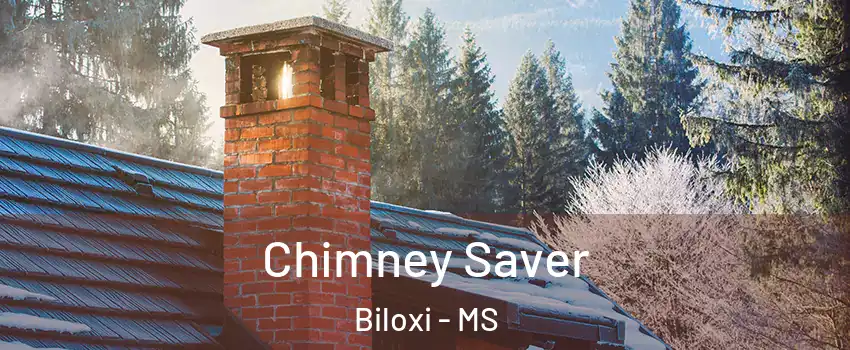  Chimney Saver Biloxi - MS
