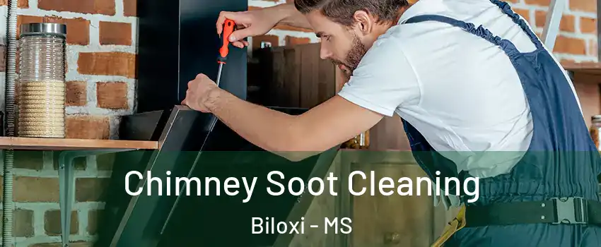  Chimney Soot Cleaning Biloxi - MS