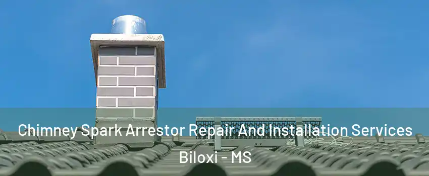  Chimney Spark Arrestor Repair And Installation Services Biloxi - MS