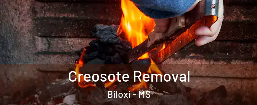  Creosote Removal Biloxi - MS