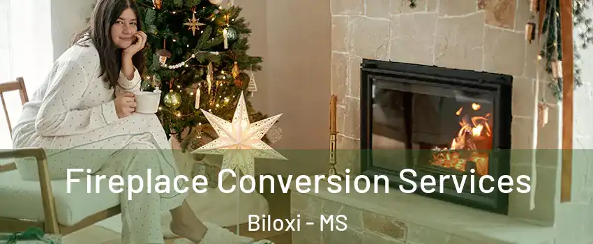  Fireplace Conversion Services Biloxi - MS