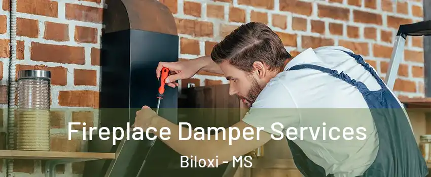  Fireplace Damper Services Biloxi - MS