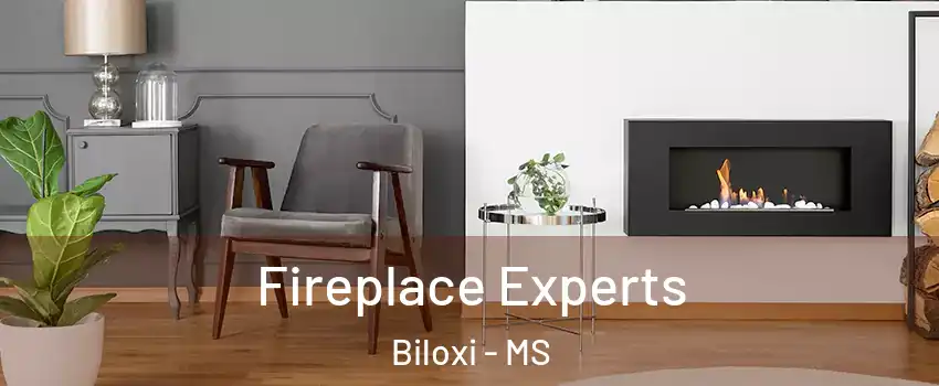  Fireplace Experts Biloxi - MS
