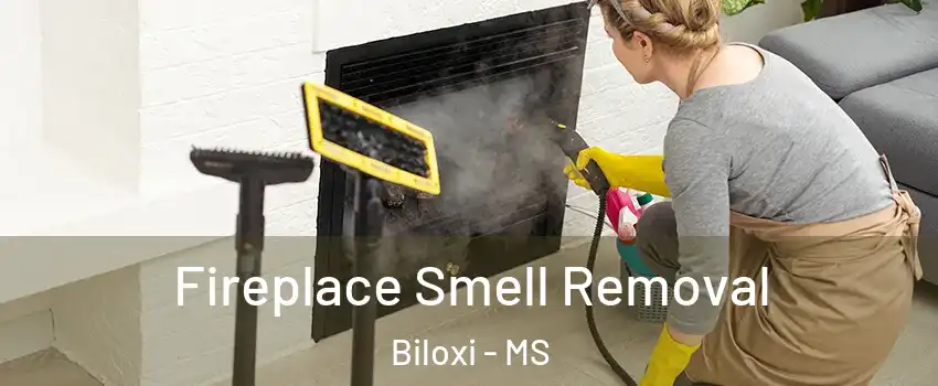  Fireplace Smell Removal Biloxi - MS