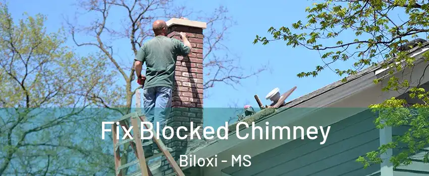  Fix Blocked Chimney Biloxi - MS