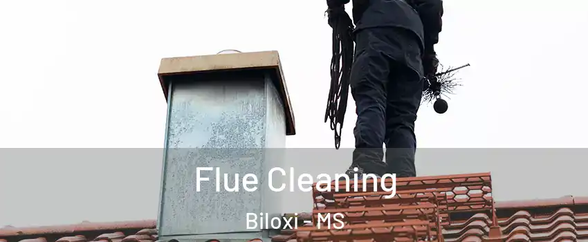  Flue Cleaning Biloxi - MS