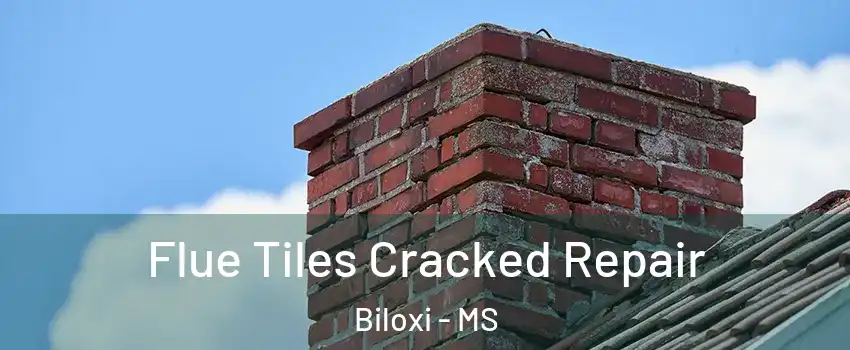  Flue Tiles Cracked Repair Biloxi - MS