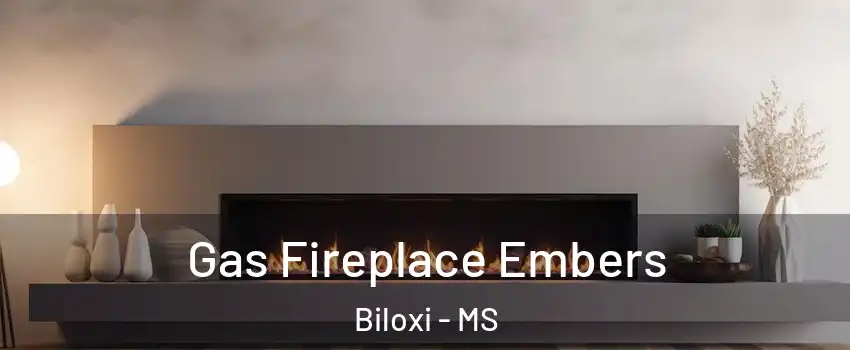  Gas Fireplace Embers Biloxi - MS