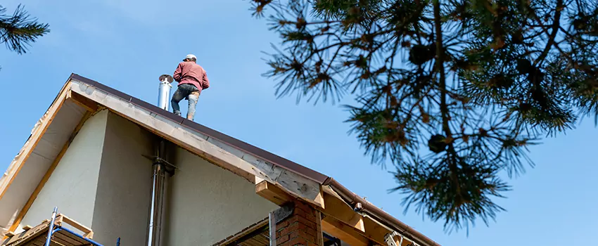 Birds Removal Contractors from Chimney in Biloxi, MS