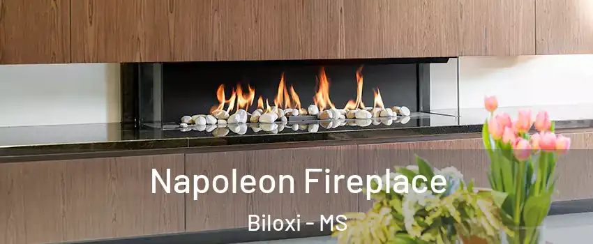  Napoleon Fireplace Biloxi - MS