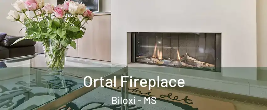 Ortal Fireplace Biloxi - MS
